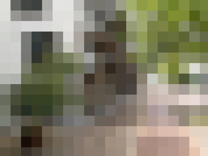 Image 33