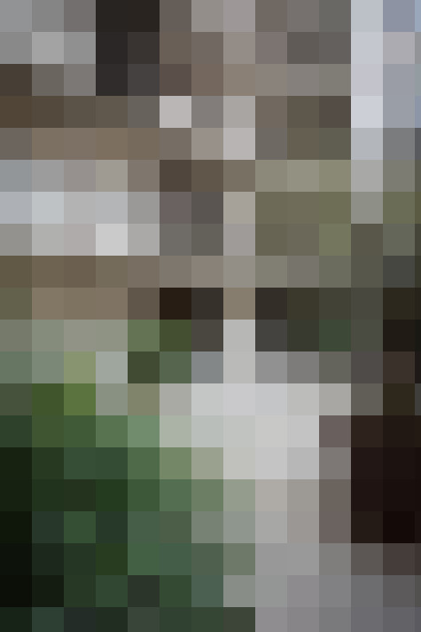 Image 42