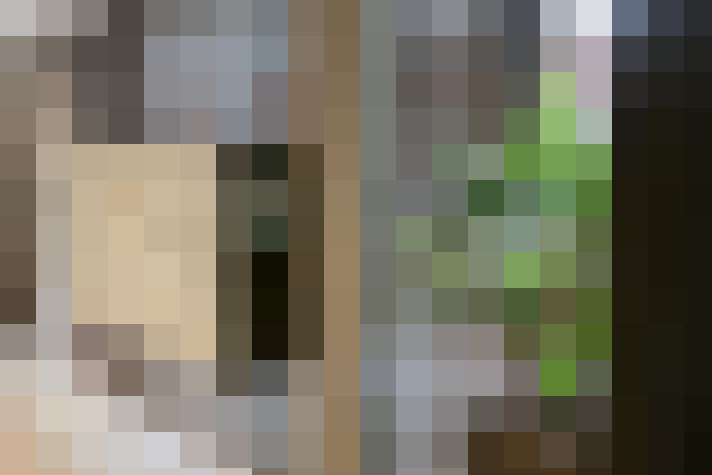 Image 20