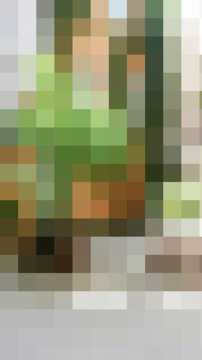 Image 47