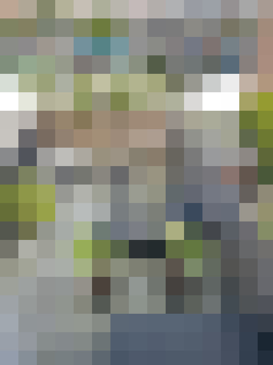 Image 31