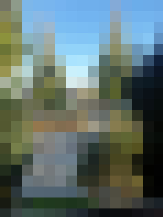 Image 17