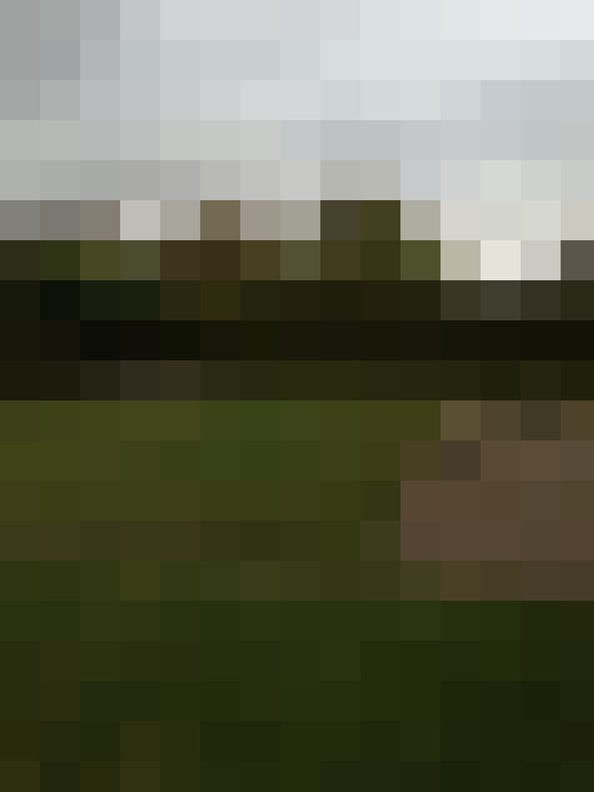 Image 14