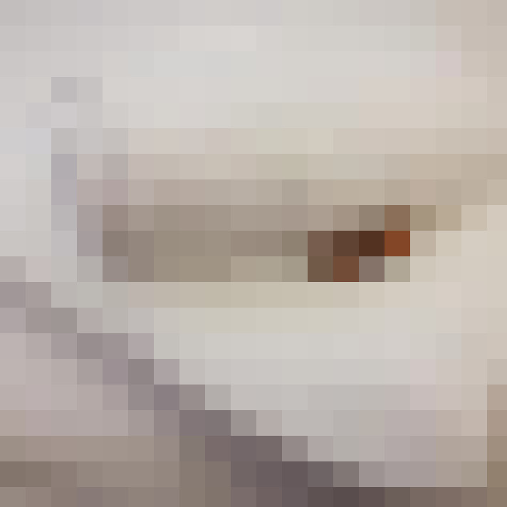 Image 20