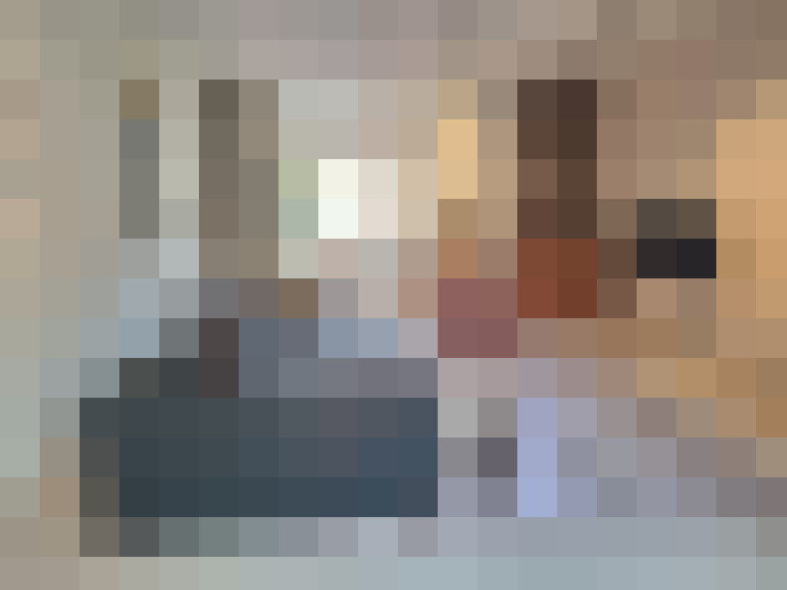 Image 15