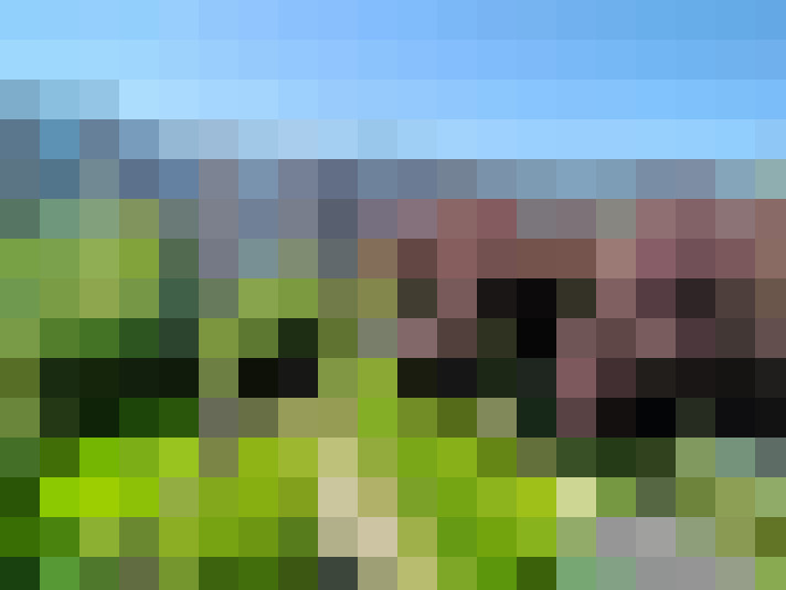 Image 20