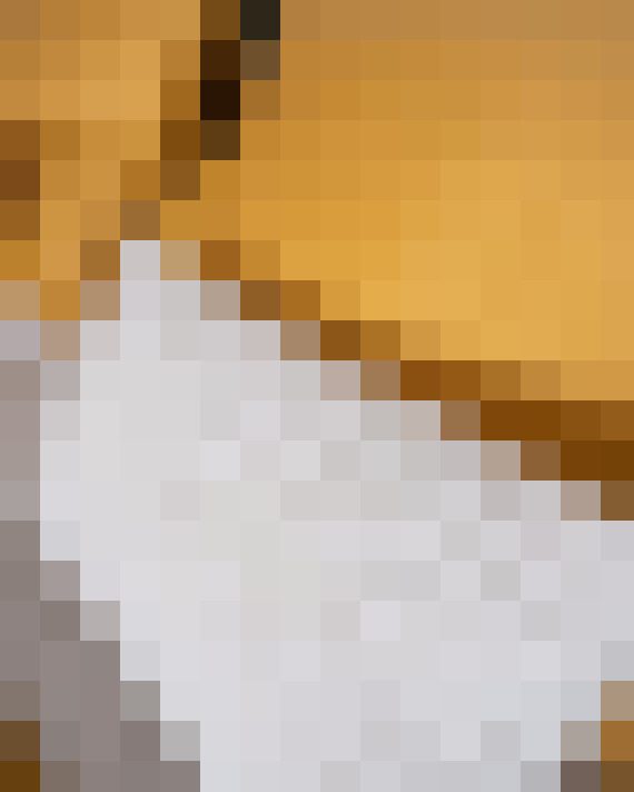 Image 39