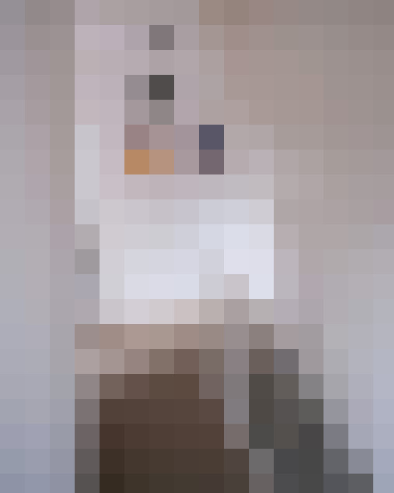 Image 32