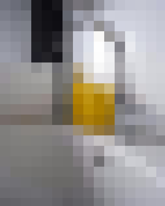 Image 30
