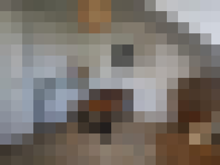  / #58