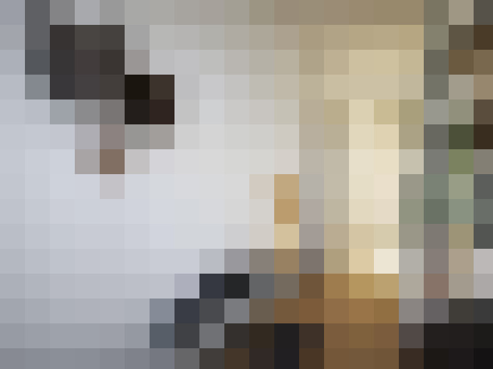  / #53