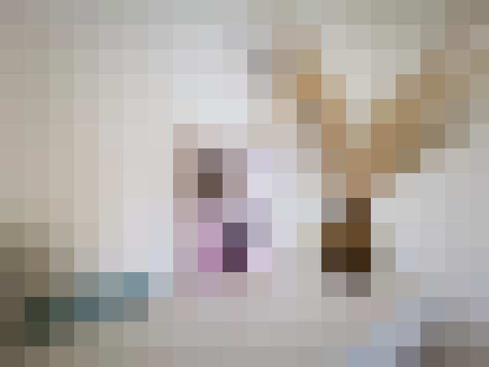  / #62