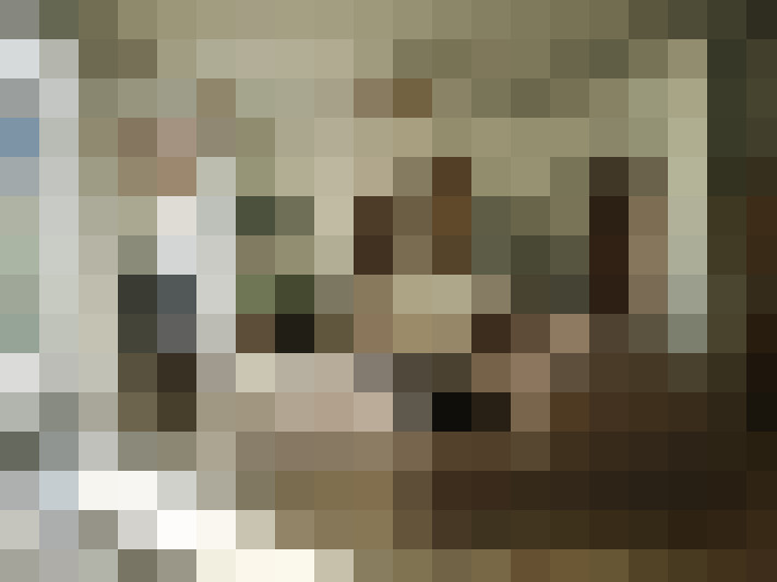  / #24