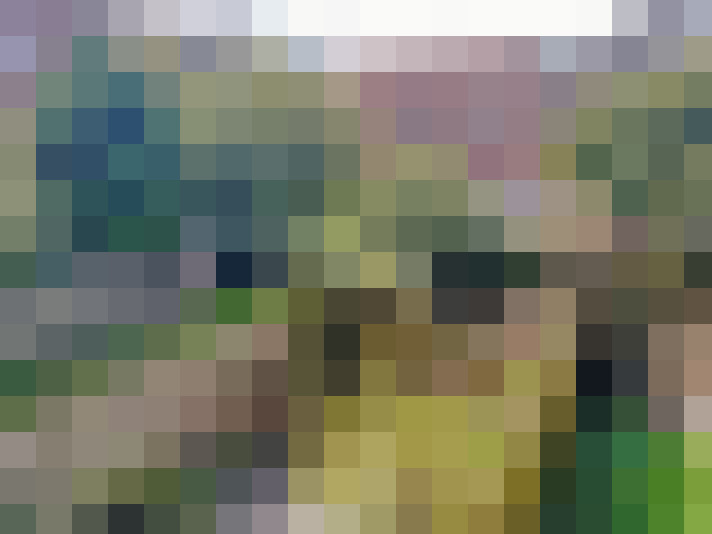 Image 23