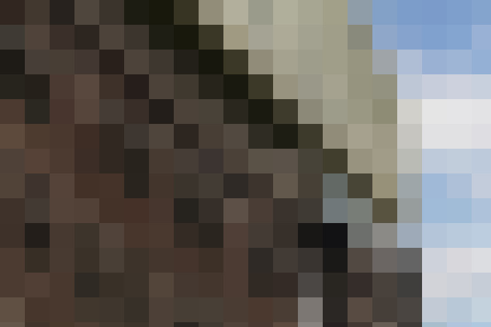 Image 31