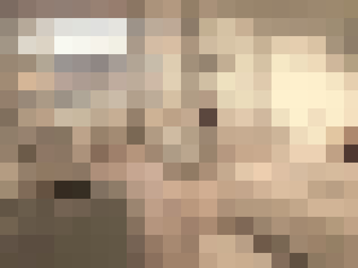 Image 29