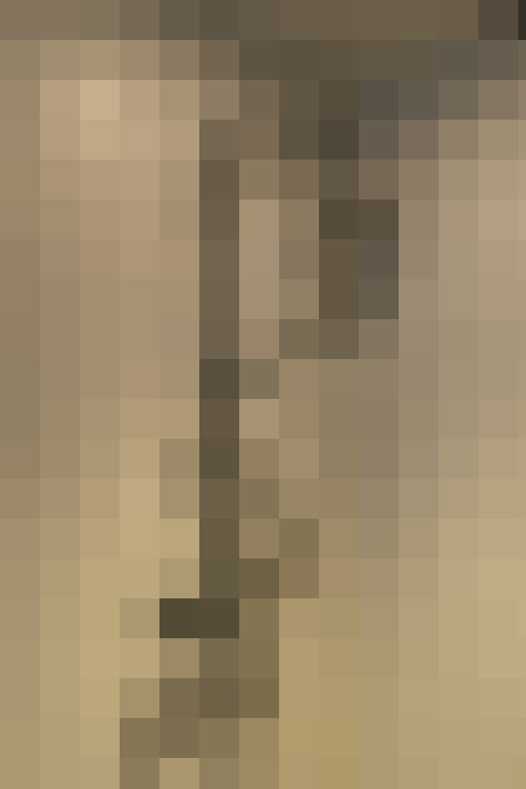 Image 29