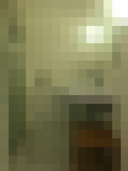 Image 13
