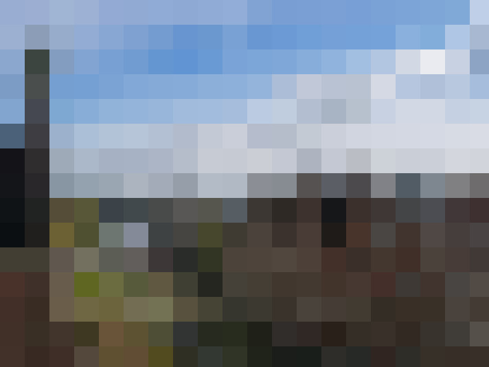 Image 28