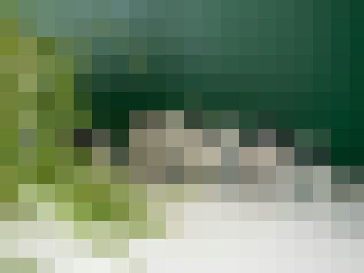 Image 15