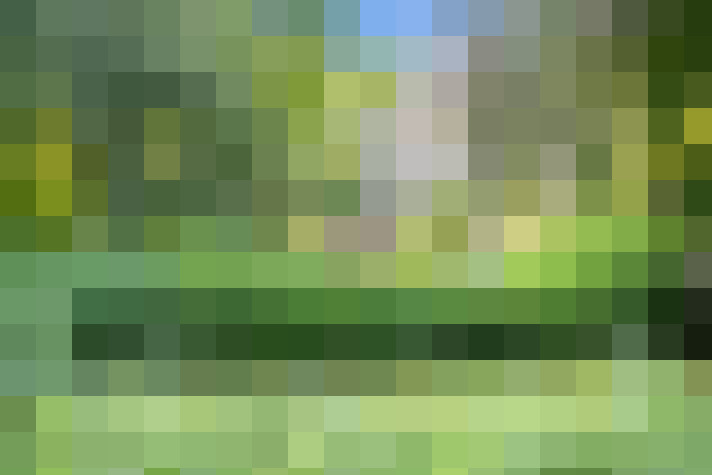 Image 23