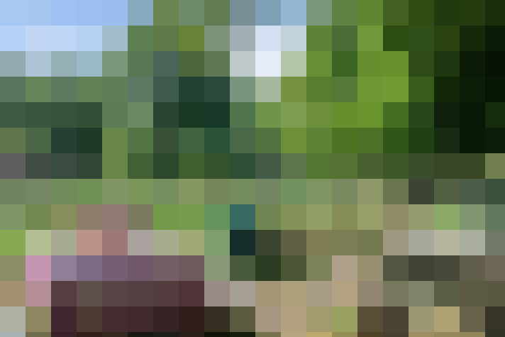 Image 25