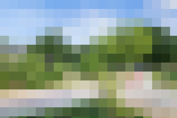 Image 31