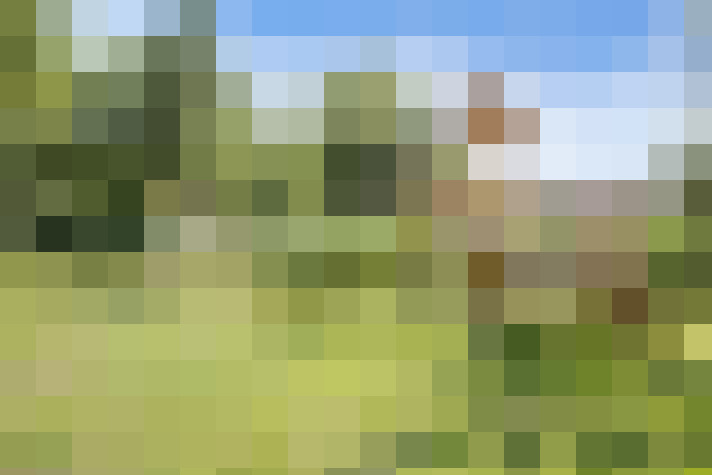 Image 29