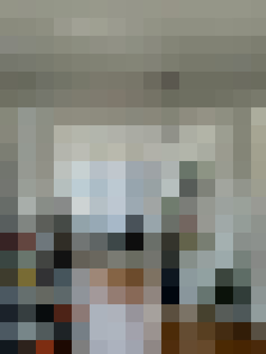 Image 29