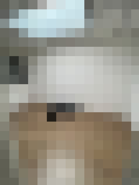  / #6