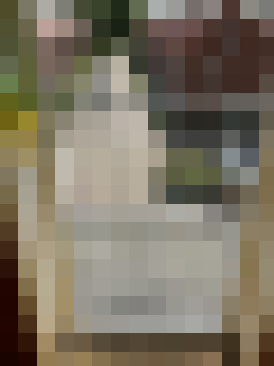 Image 27