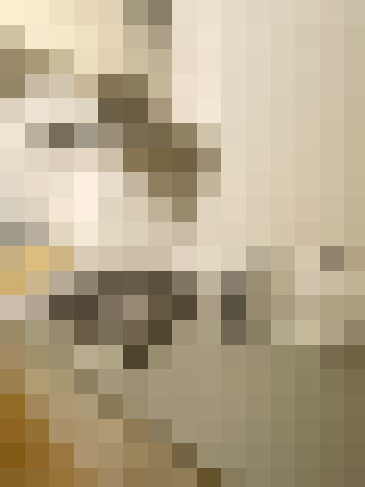 Image 23