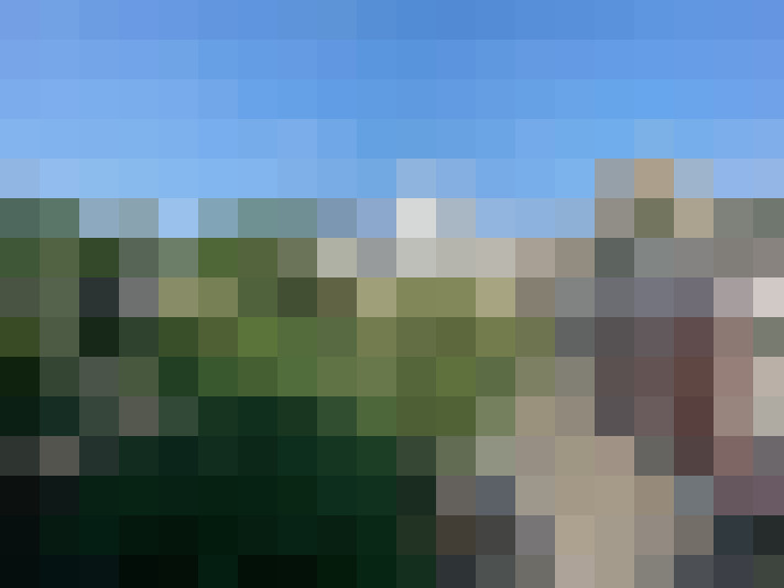 Image 50