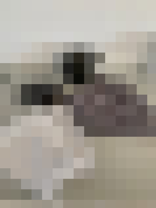 Image 29