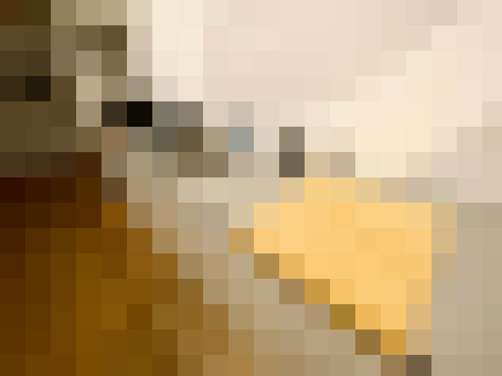 Image 24