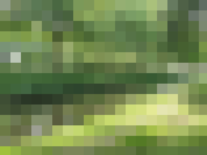 Image 13