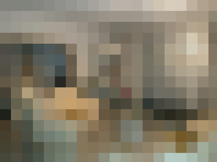 Image 15