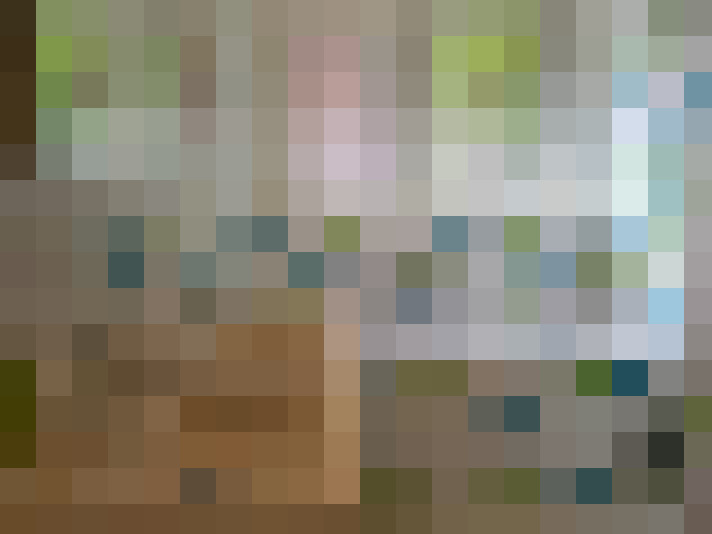 Image 13