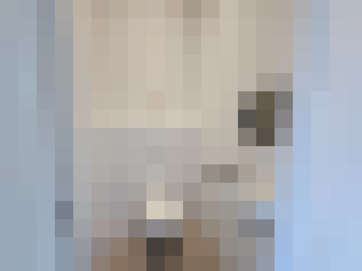  / #29