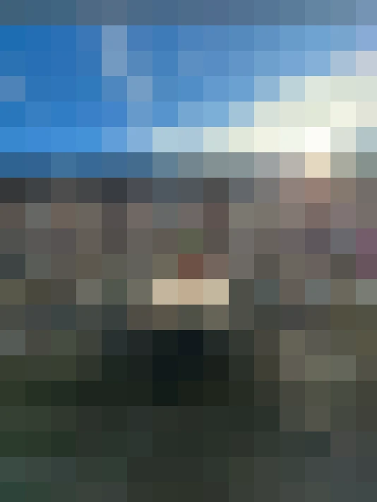 Image 29