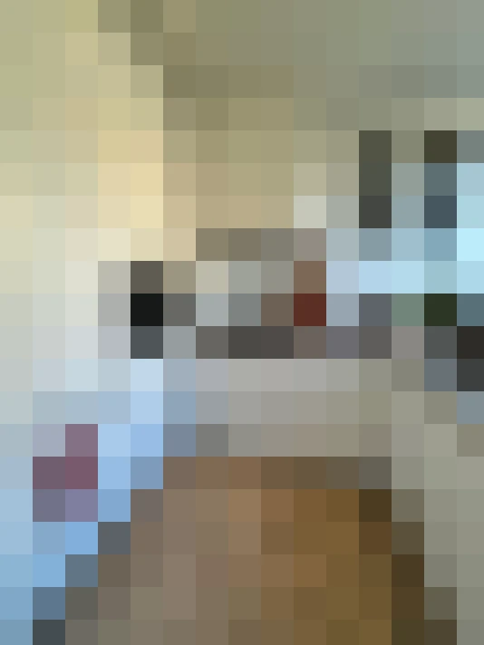 Image 42