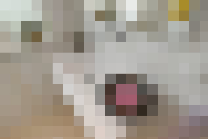  / #24