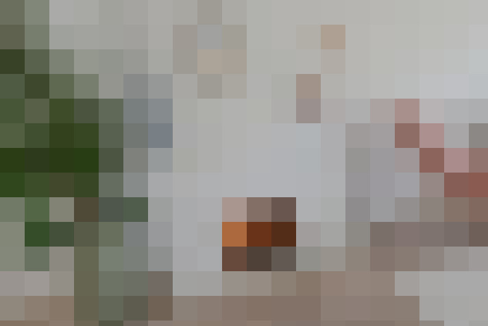  / #9