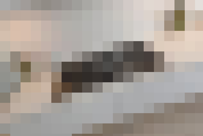  / #13