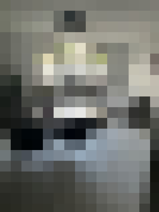 Image 13