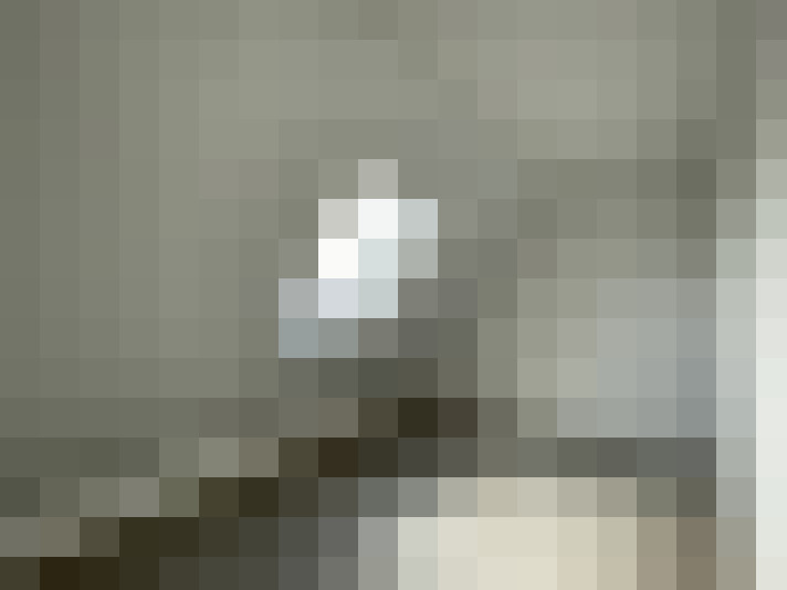 Image 31
