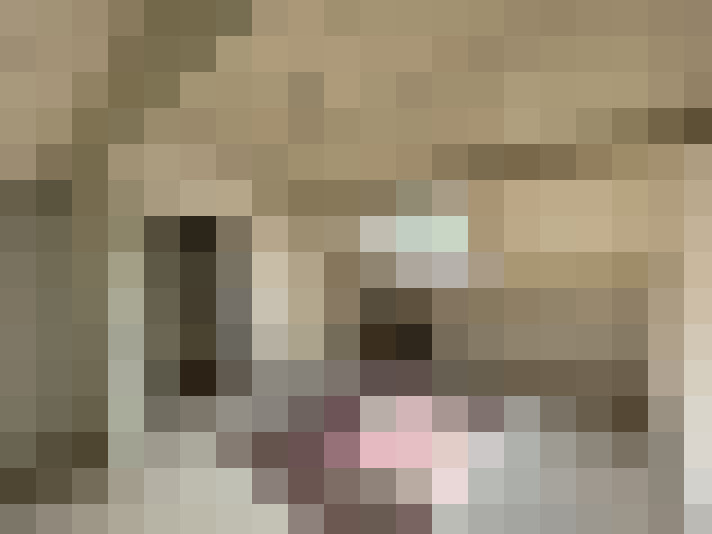 Image 42