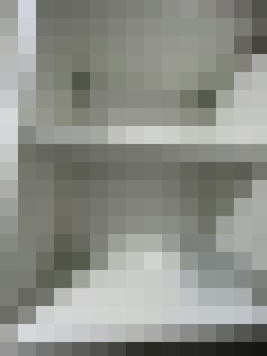 Image 17