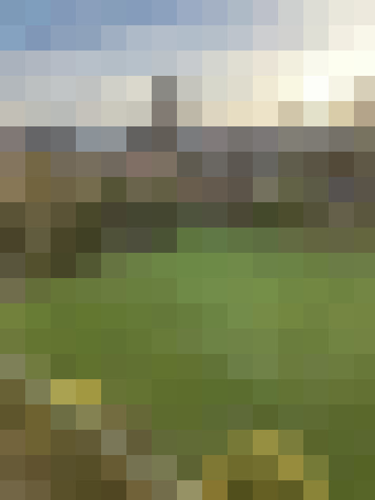 Image 14