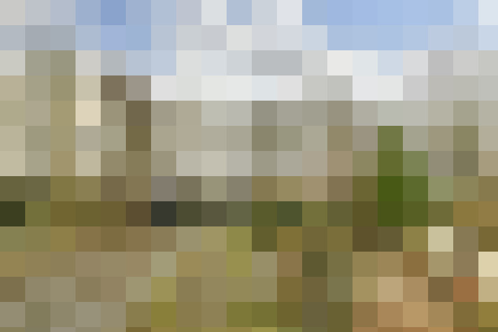 Image 33